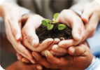 Auntly Resilience - Pass It On!